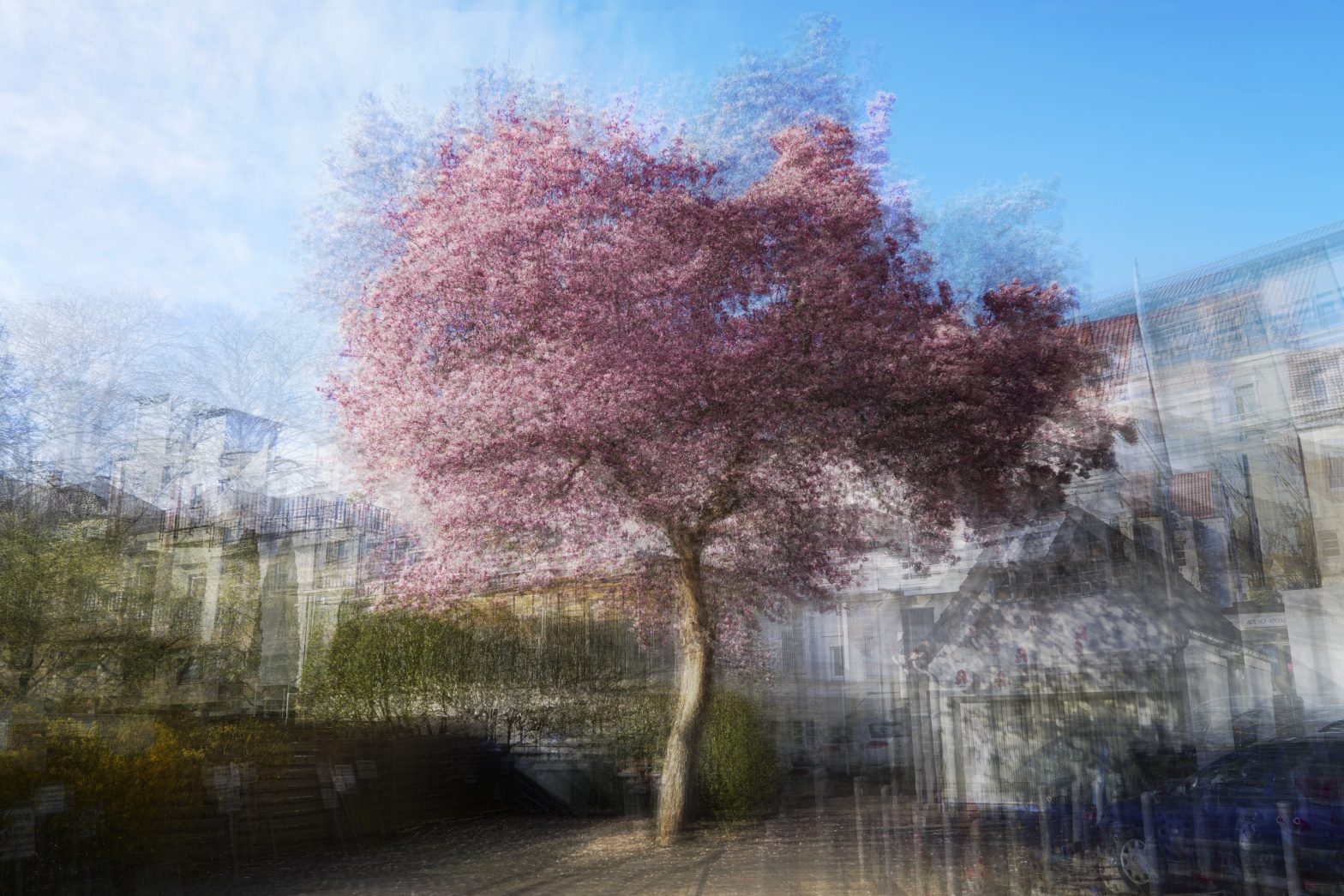 Natur und Architektur …